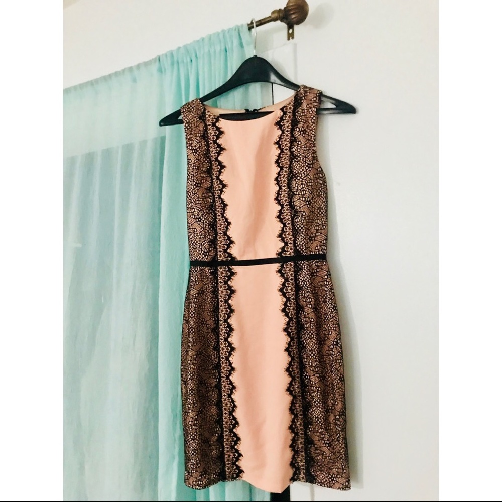 Pink/Nude Colored Black Lacey Business Dress